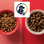 L’origine du petfood-score ABCDE : une idée ancienne sans base scientifique